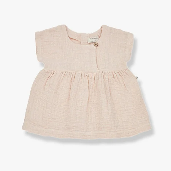 1+ in the Family Xenia Dress - Rose